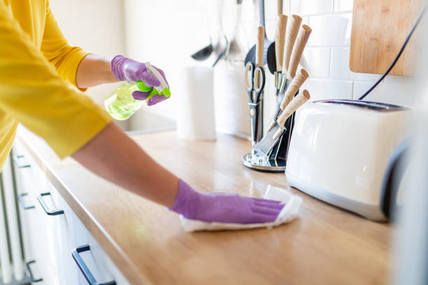 Kitchen Cleaning
